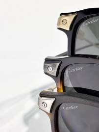 Picture of Cartier Sunglasses _SKUfw77838555fw